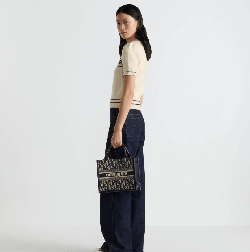 Small Dior Book Tote Small