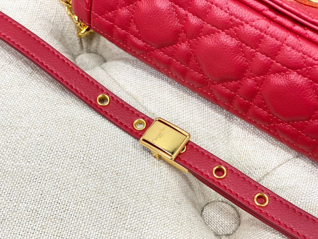 Small CARO BAG 20 RED Calfskin